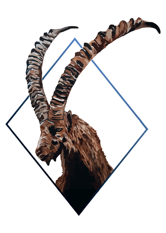 AS x PF Mountain King T-Shirt Unisex