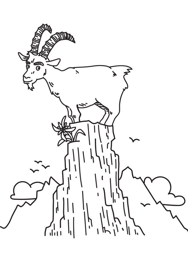 Baby Body - Steinbock